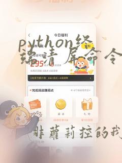 python终端清屏命令