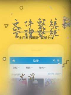 文件系统和文件管理系统