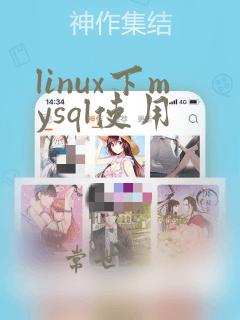 linux下mysql使用
