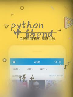 python 中的end