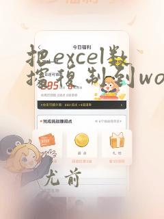 把excel数据复制到word表格