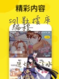 sql 数据库 编程