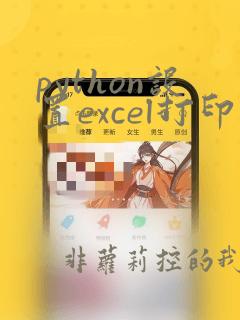 python设置excel打印选项