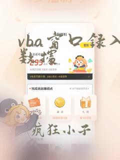vba窗口录入数据