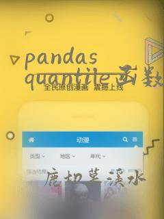 pandas quantile函数
