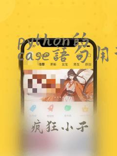 python的case语句用法