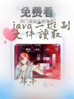 java二进制文件读取