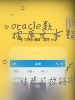 oracle数据库文本类型