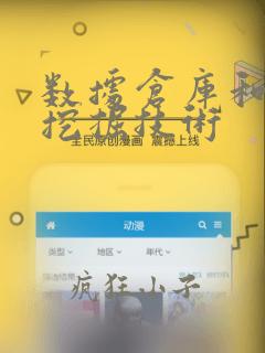 数据仓库和数据挖掘技术