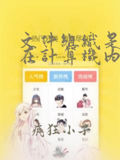 文件组织是数据在计算机内存中的组织