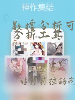 数据分析可视化分析工具