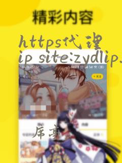 https代理ip site:zydlip.com