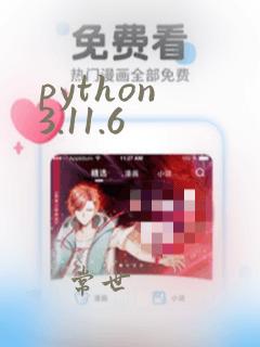 python 3.11.6