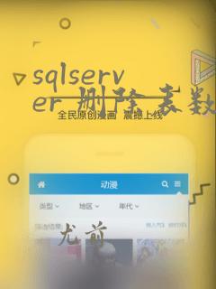 sqlserver 删除表数据不释放空间