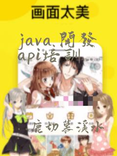 java 开发api培训
