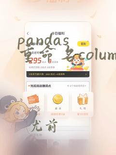 pandas 重命名columns