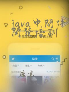 java中间件开发培训