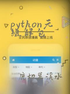 python元组解包