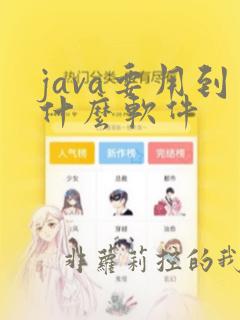 java要用到什么软件