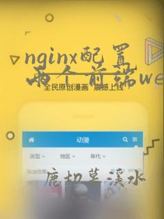 nginx配置两个前端web服务