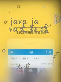 java java大数据