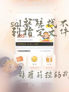 sql系统找不到指定文件