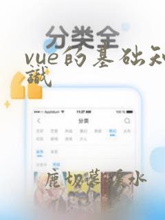 vue的基础知识