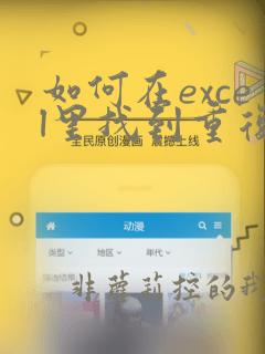 如何在excel里找到重复的数据