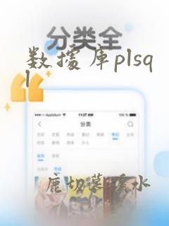 数据库plsql