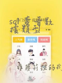 sql 查看数据类型