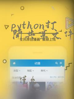 python打开共享文件夹