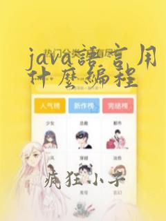 java语言用什么编程