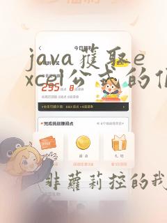 java获取excel公式的值