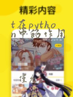 t在python中的作用