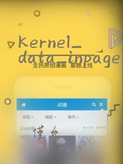 kernel_data_inpage_error 蓝屏