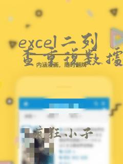excel二列查重复数据