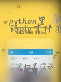 python里的pip有什么用