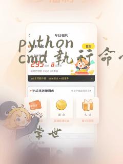 python cmd 执行命令