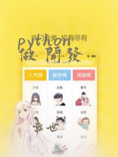 python 做 开发