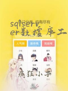 sqlserver数据库工程师