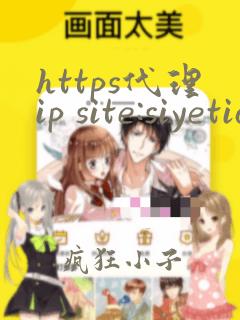 https代理ip site:siyetian.com
