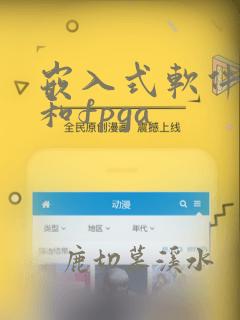 嵌入式软件开发和fpga
