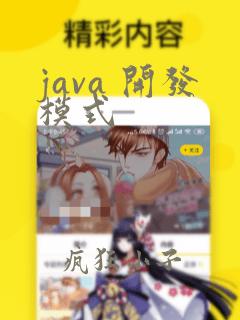 java 开发模式