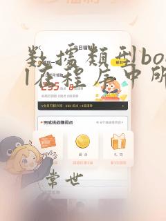 数据类型bool在程序中所代表的类型