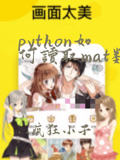 python如何读取mat数据