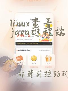 linux查看java进程端口