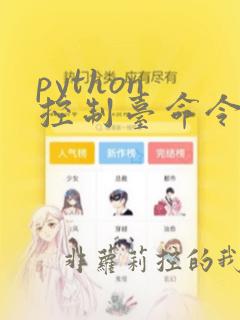 python 控制台命令