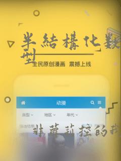 半结构化数据类型