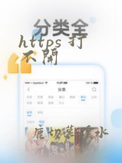https 打不开