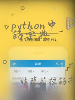 python中的字典